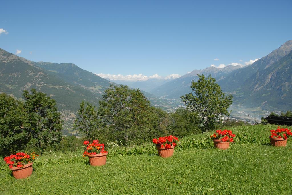 Agriturismo Plan D'Avie 奥斯塔 外观 照片