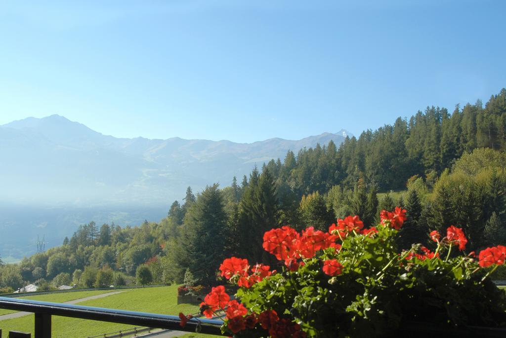 Agriturismo Plan D'Avie 奥斯塔 客房 照片