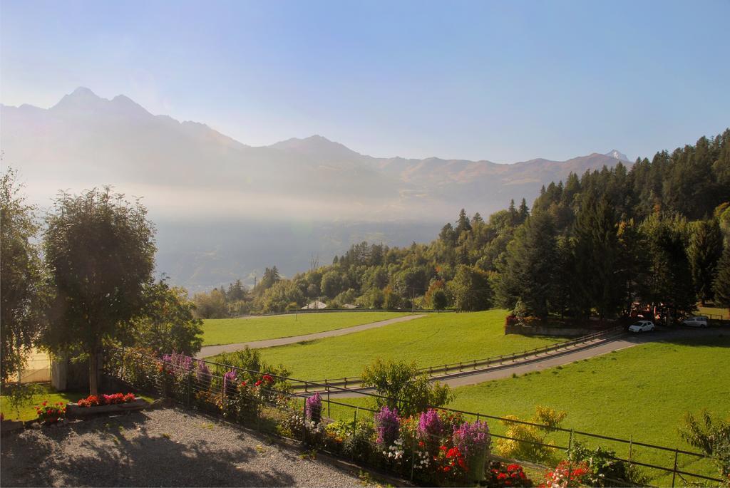 Agriturismo Plan D'Avie 奥斯塔 外观 照片