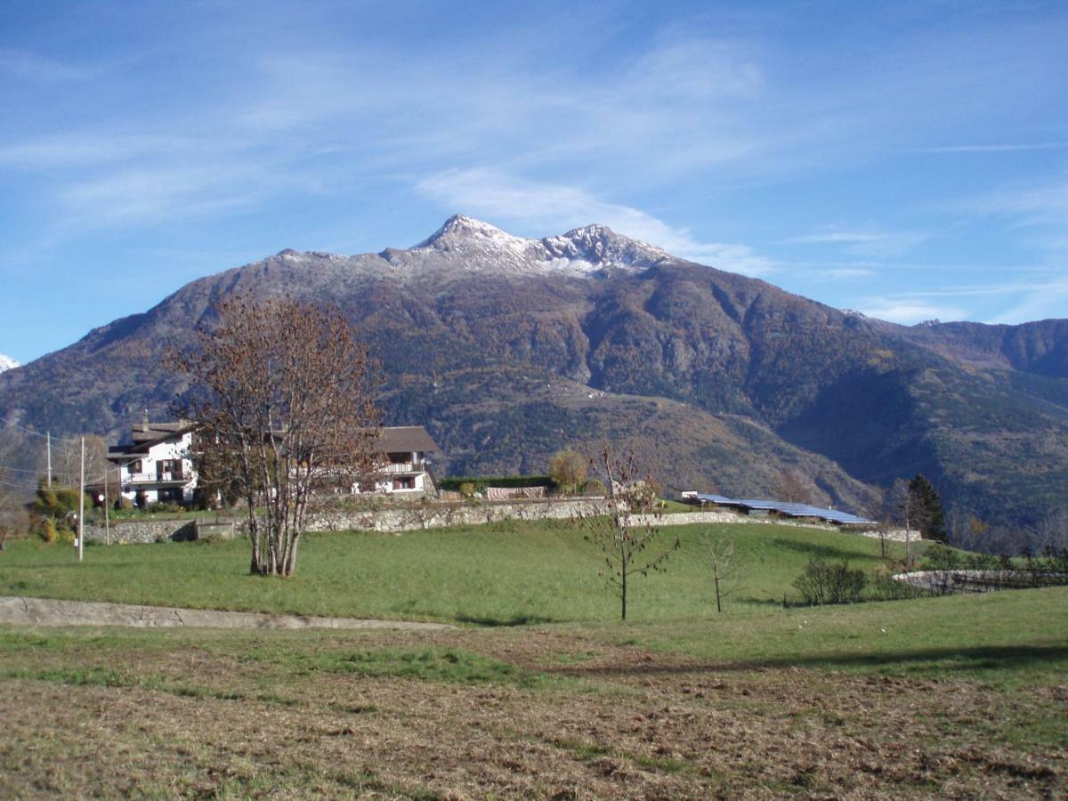 Agriturismo Plan D'Avie 奥斯塔 外观 照片