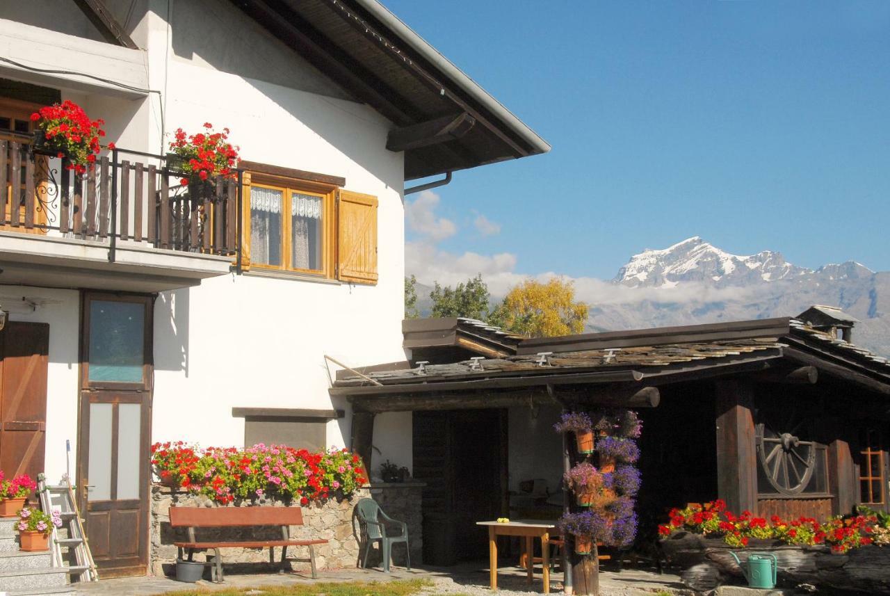 Agriturismo Plan D'Avie 奥斯塔 外观 照片